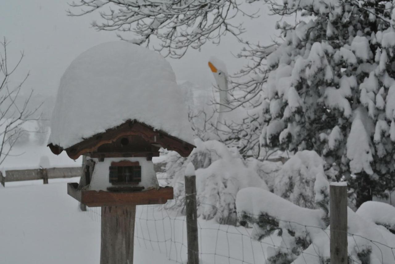 Jausenstation Vogelhütte * Innsbruck
